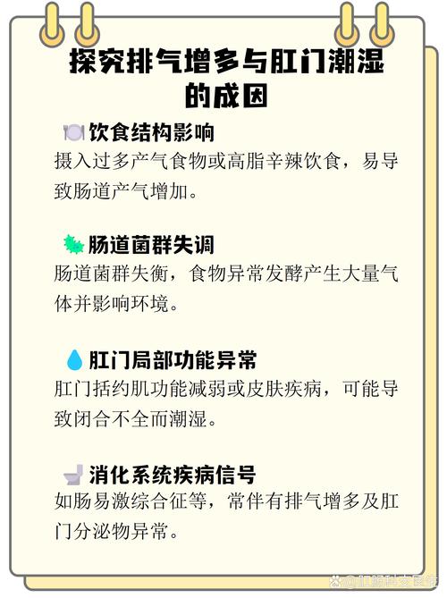经常排气,肛门口湿怎么回事