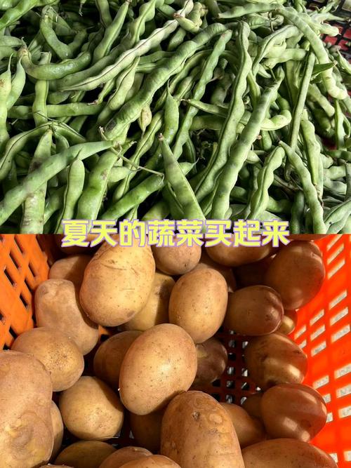 土豆炖豆角谁吃过?